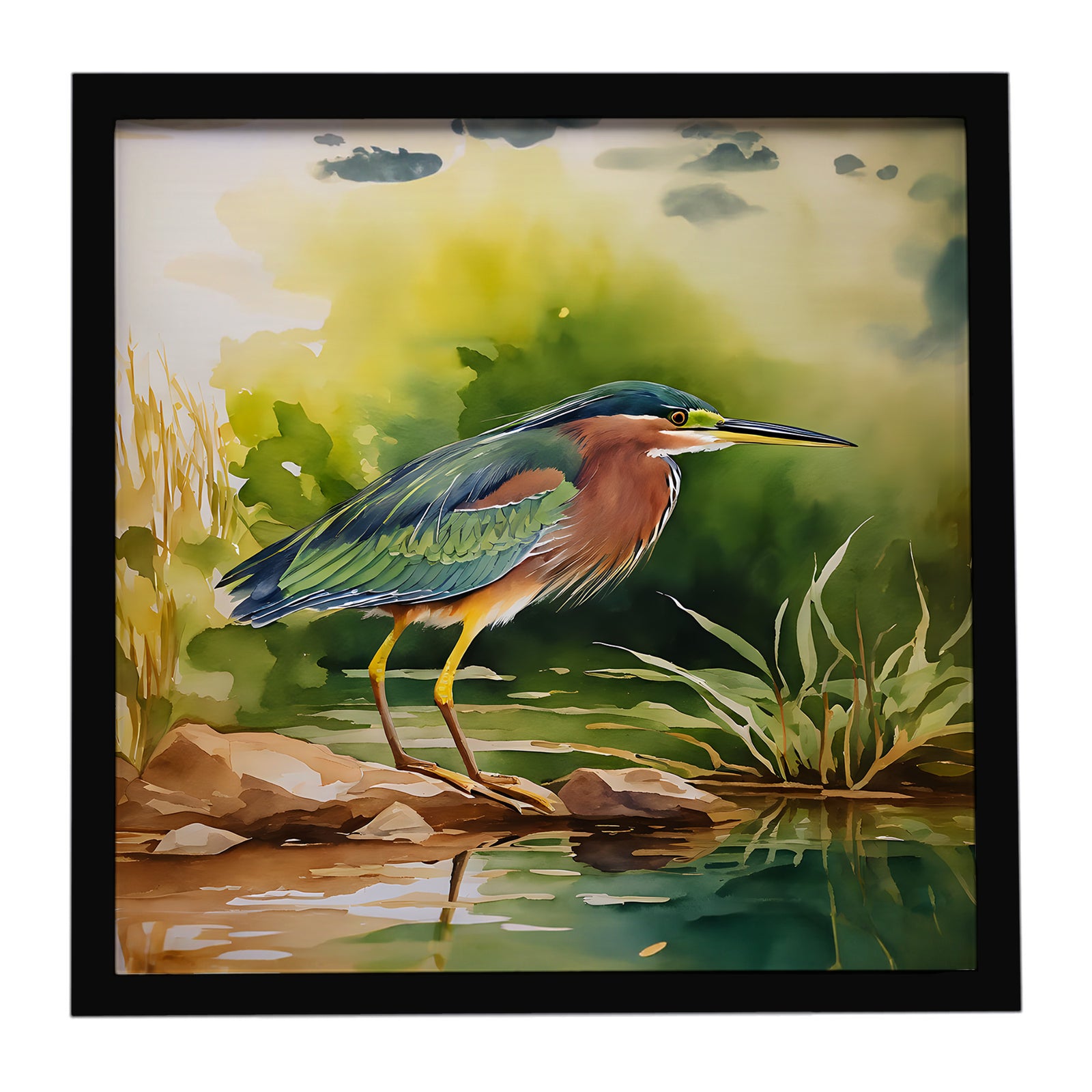 Caroline's Treasures Green Heron Framed Metal Print