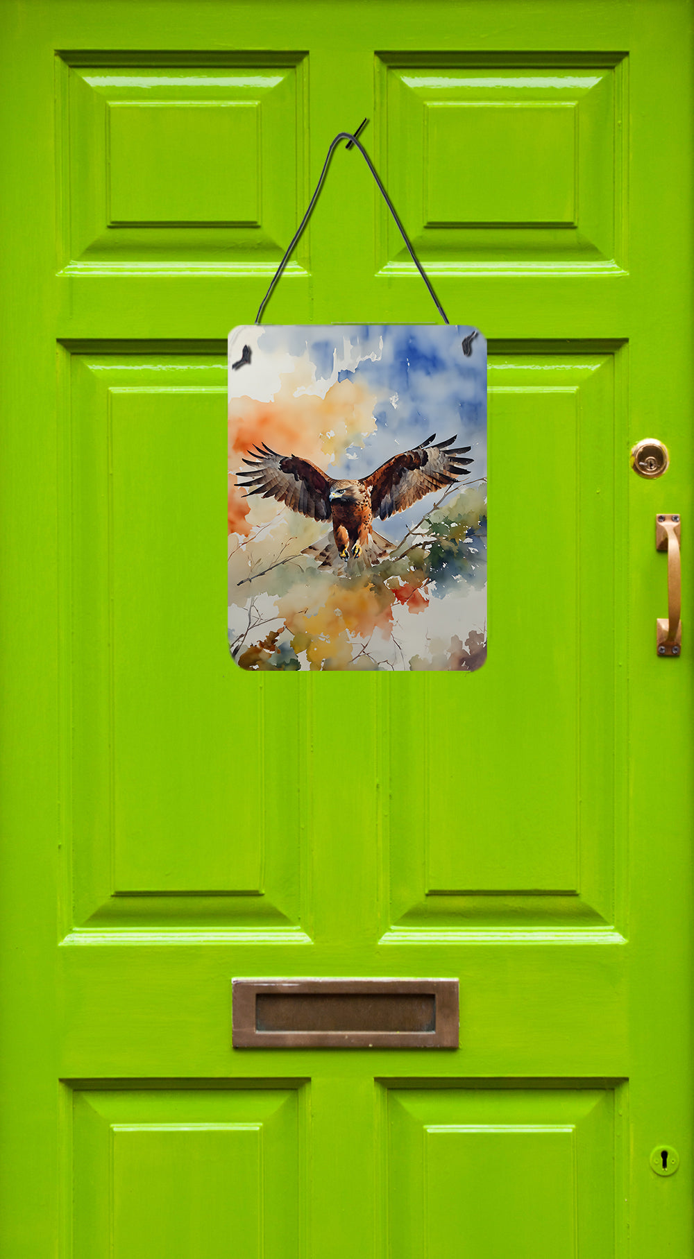 Buy this Hawk Wall or Door Hanging Prints