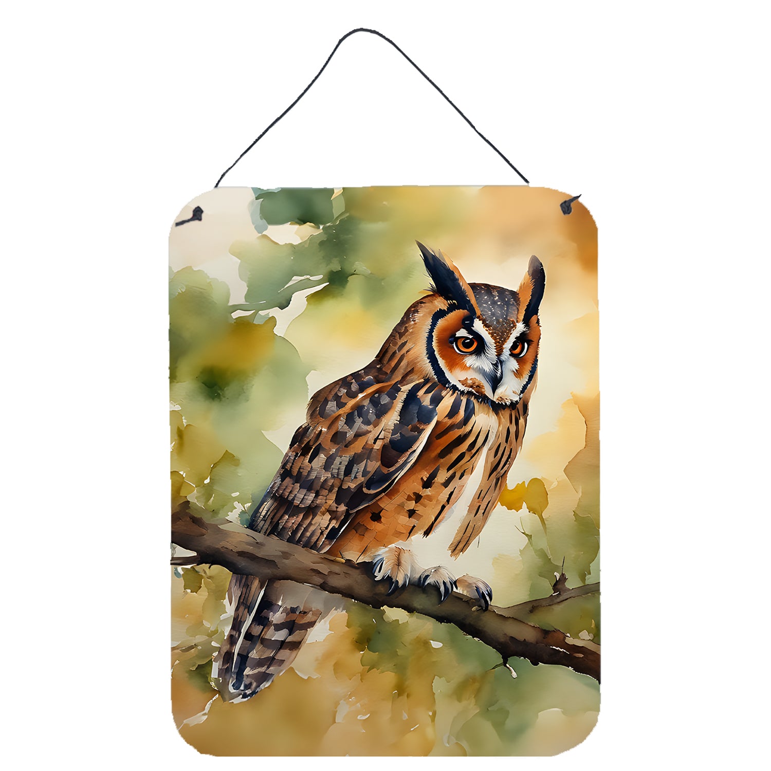 Buy this Long-Eared Owl Wall or Door Hanging Prints