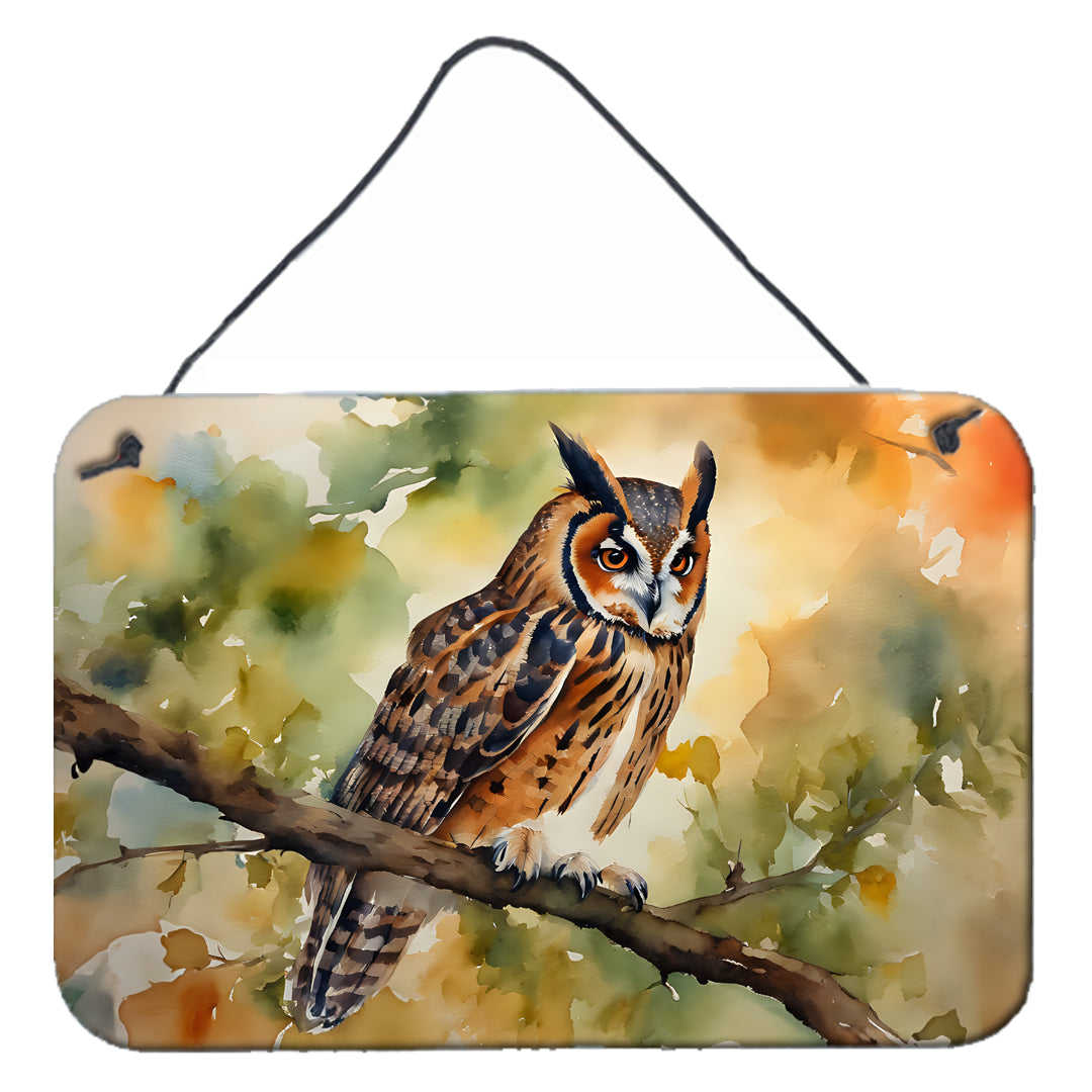 Buy this Long-Eared Owl Wall or Door Hanging Prints