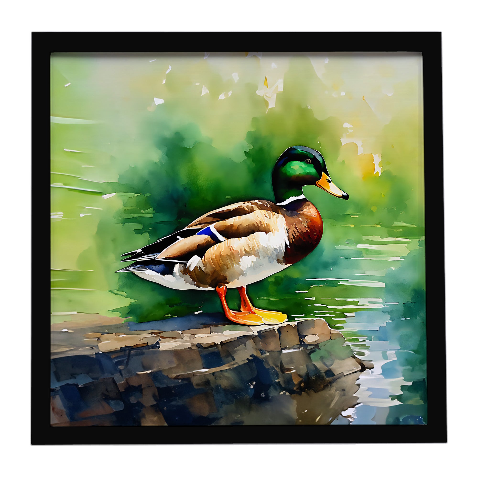 Caroline's Treasures Mallard Framed Metal Print