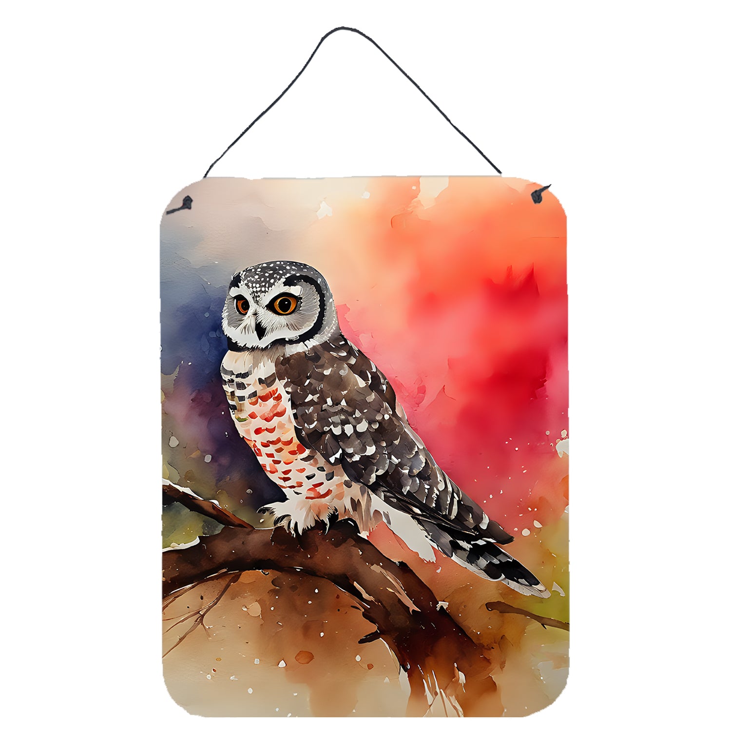 Buy this Northern Hawk Owl Wall or Door Hanging Prints