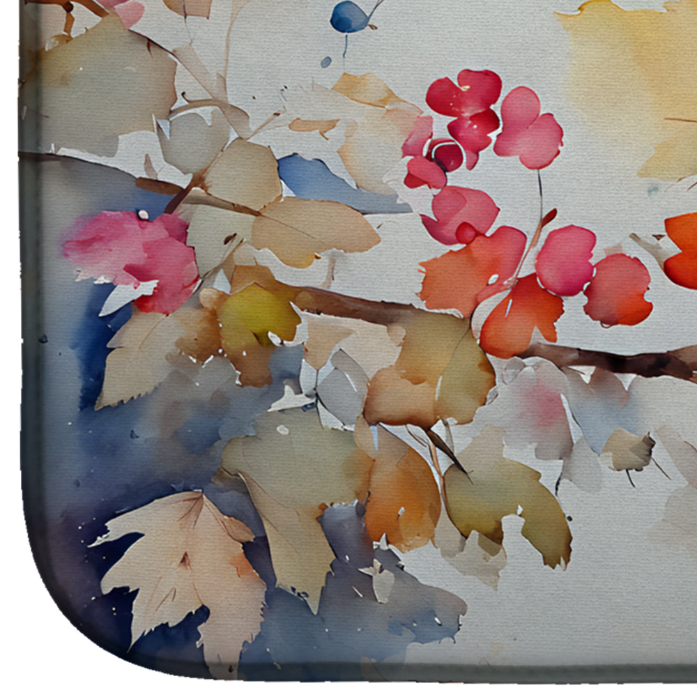 Caroline's Treasures Northern Hawk Owl Dish Drying Mat