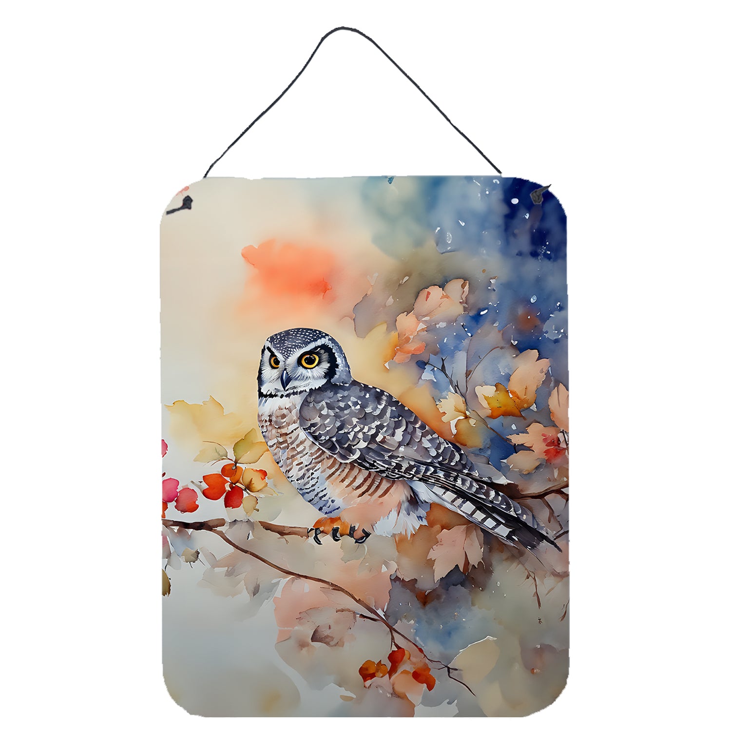 Buy this Northern Hawk Owl Wall or Door Hanging Prints