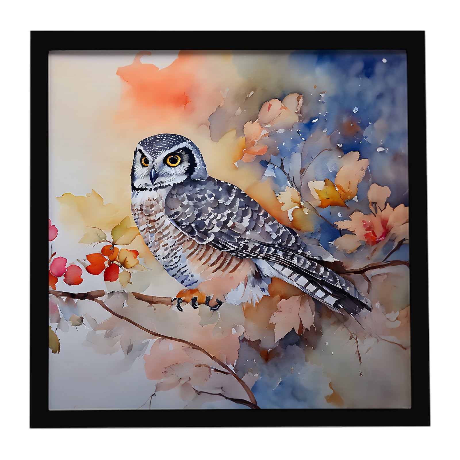 Caroline's Treasures Northern Hawk Owl Framed Metal Print