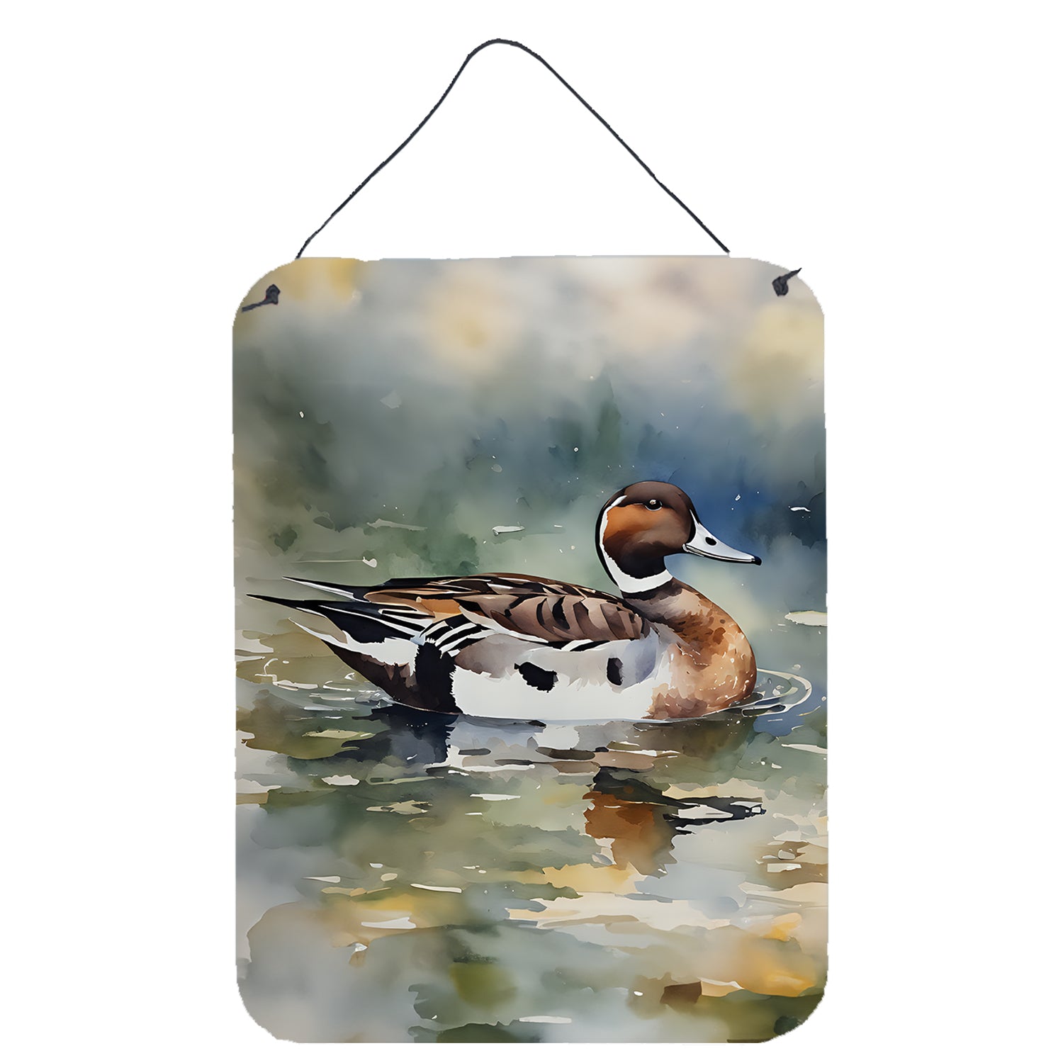 Buy this Northern Pintail Wall or Door Hanging Prints