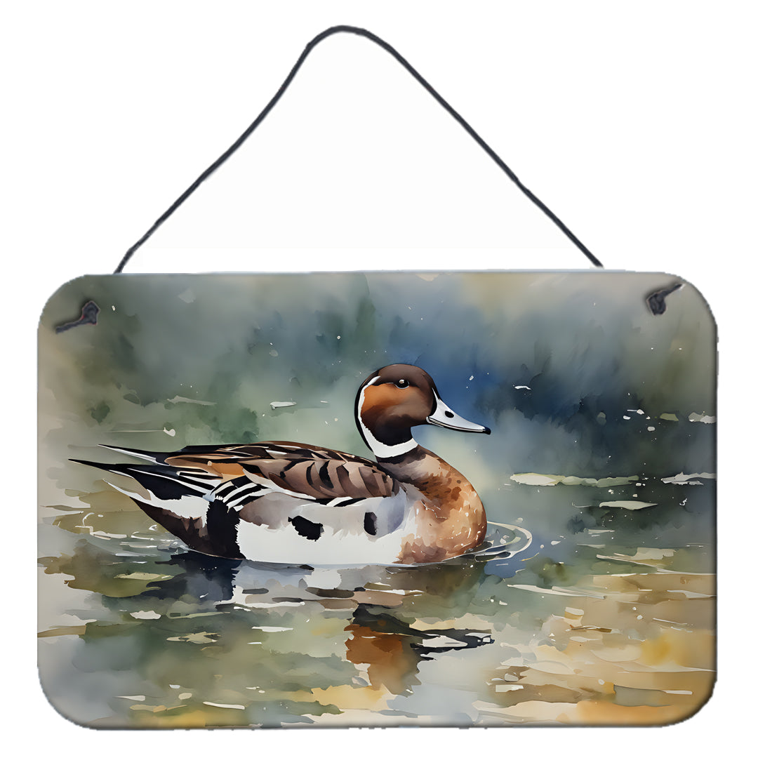 Buy this Northern Pintail Wall or Door Hanging Prints