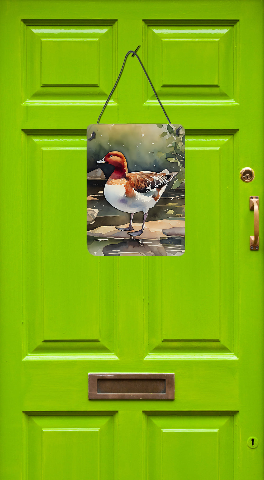 Buy this Redhead Duck Wall or Door Hanging Prints