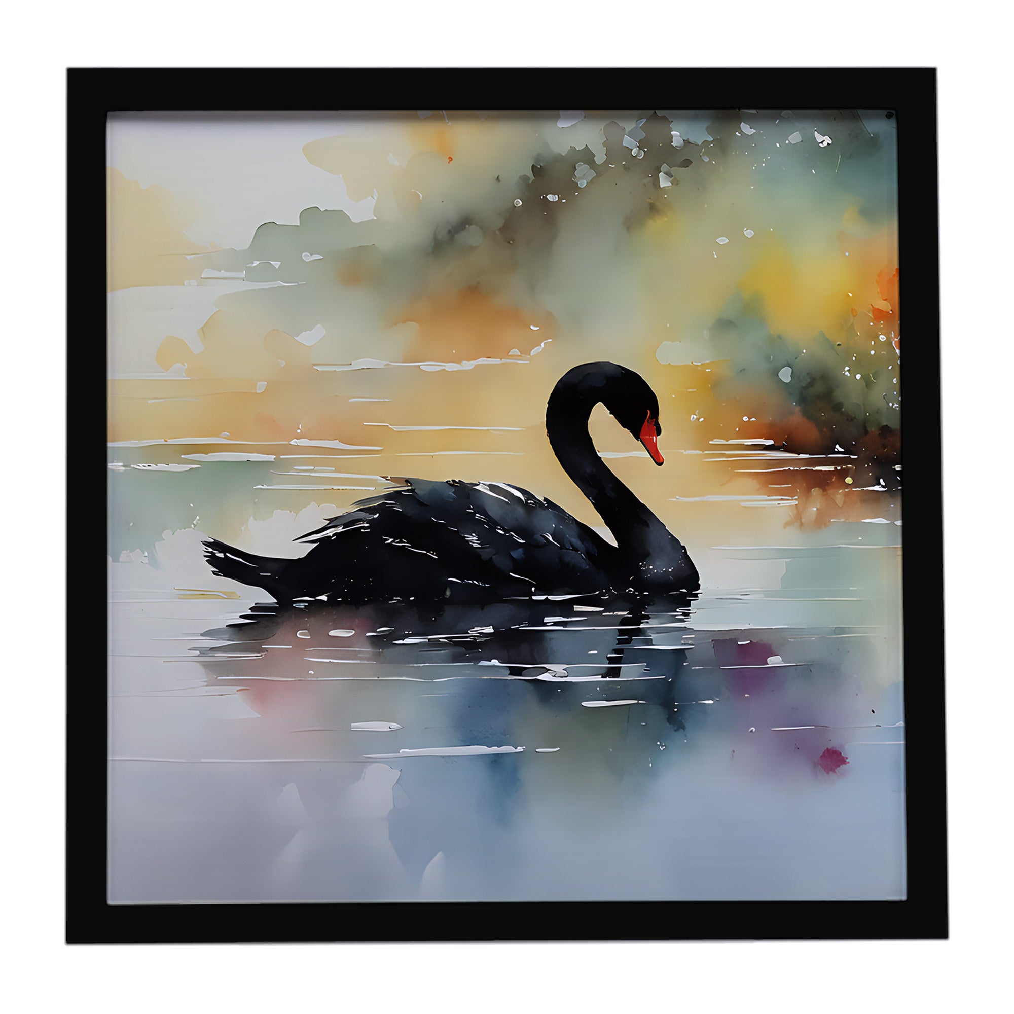 Caroline's Treasures Black Swan Framed Metal Print