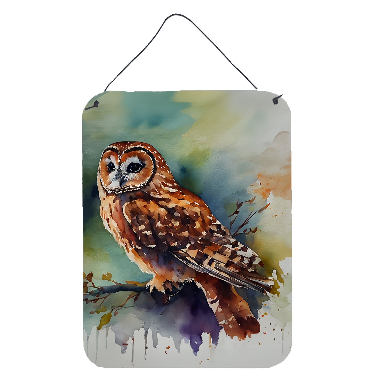 Buy this Tawny Owl Wall or Door Hanging Prints