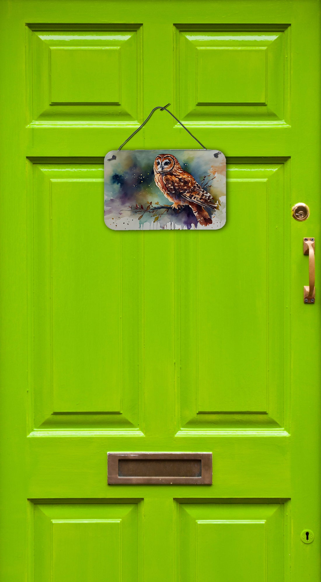 Buy this Tawny Owl Wall or Door Hanging Prints
