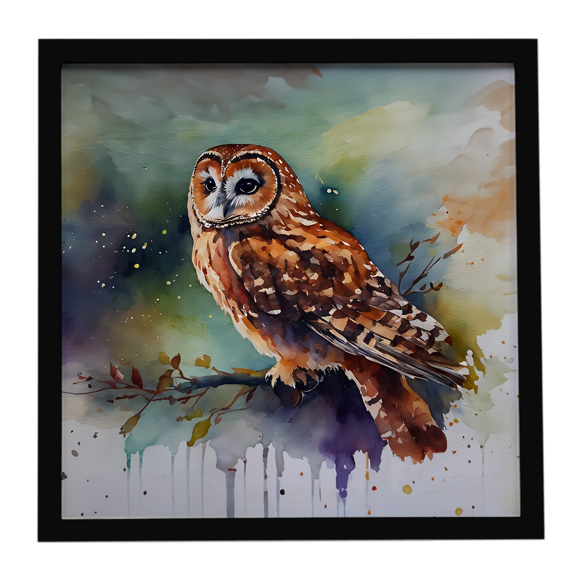 Caroline's Treasures Tawny Owl Framed Metal Print