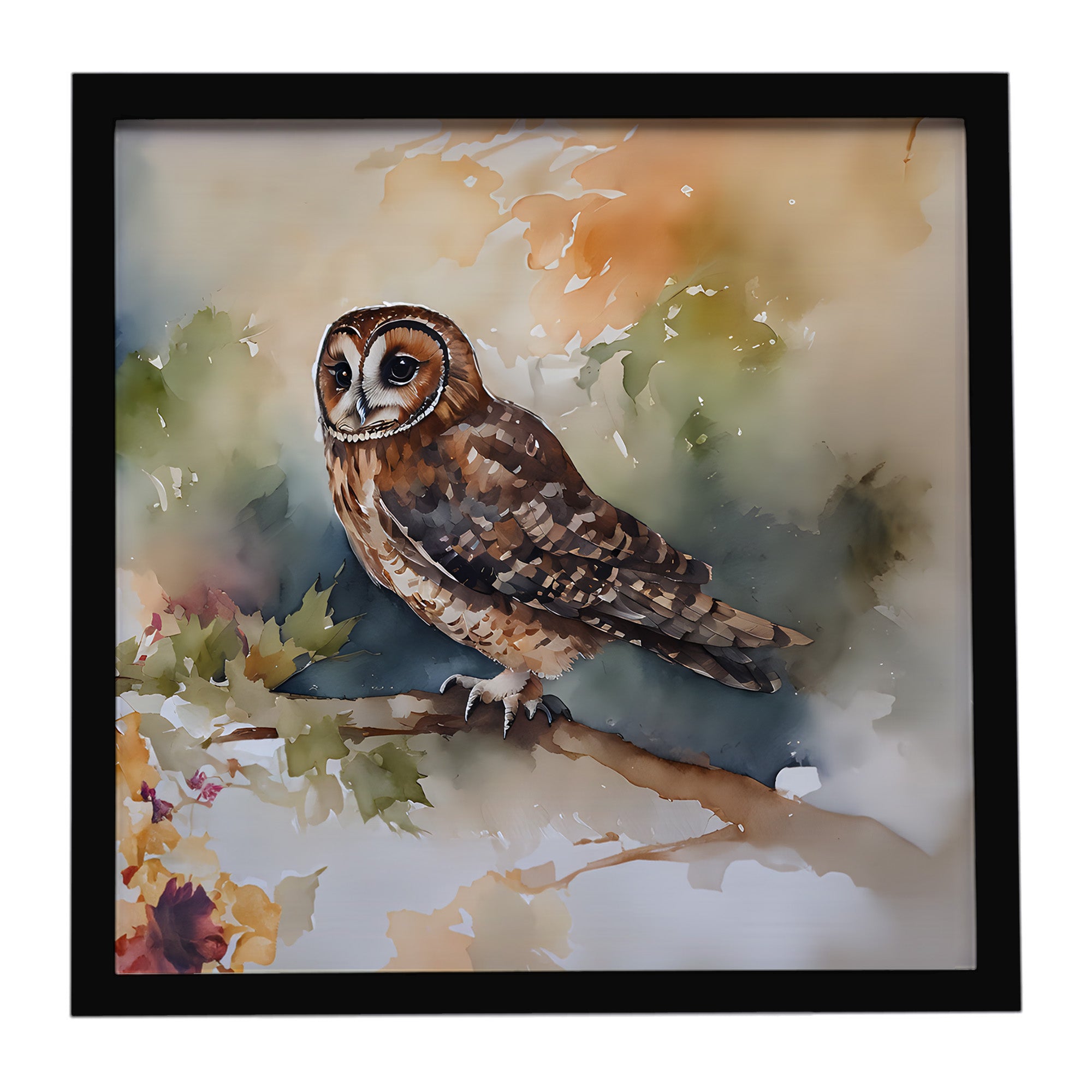 Caroline's Treasures Tawny Owl Framed Metal Print