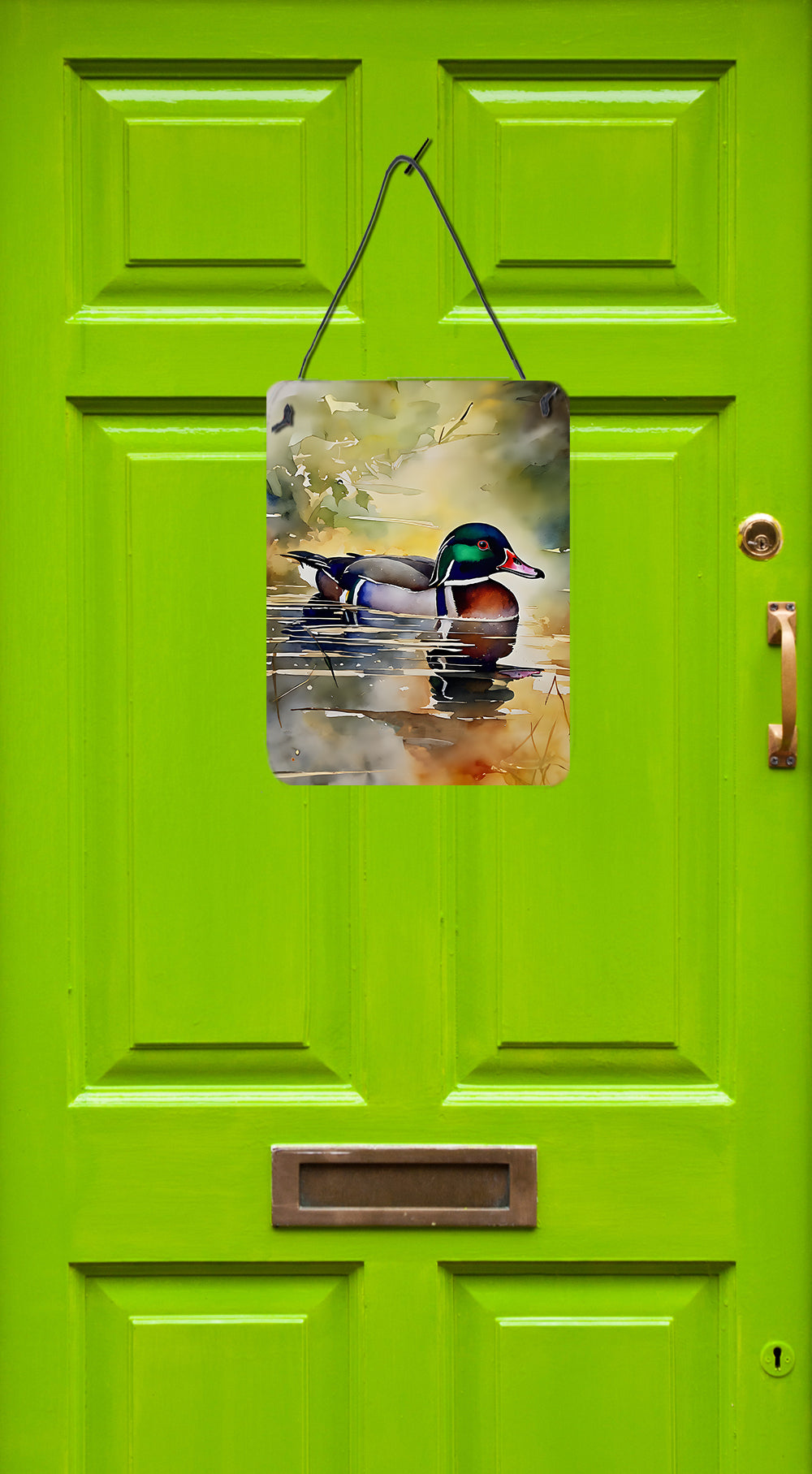 Buy this Wood Duck Wall or Door Hanging Prints