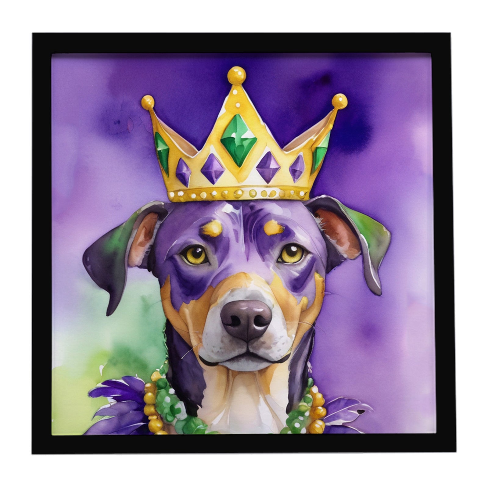 Caroline's Treasures Catahoula King of Mardi Gras Framed Metal Print