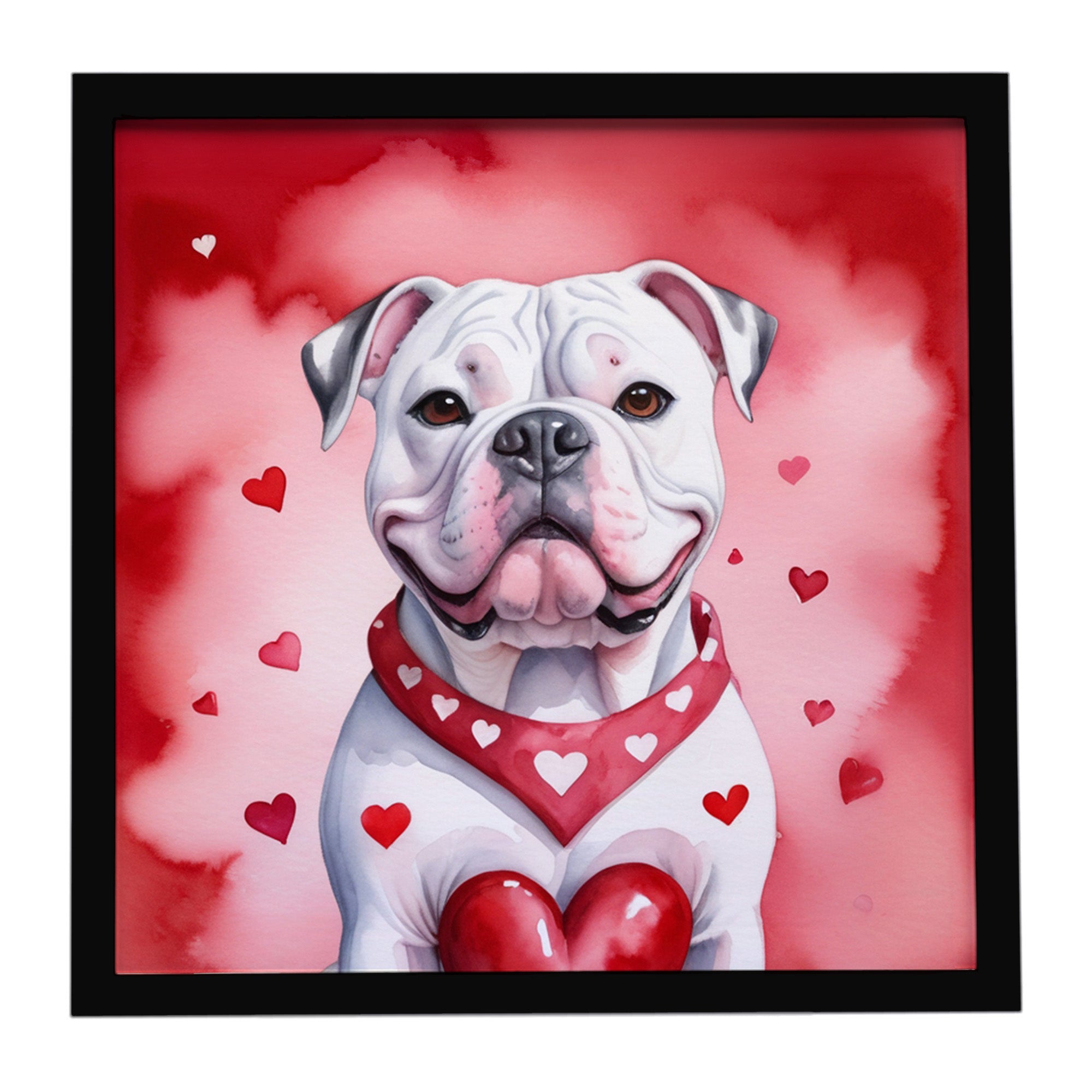 Caroline's Treasures American Bulldog My Valentine Framed Metal Print