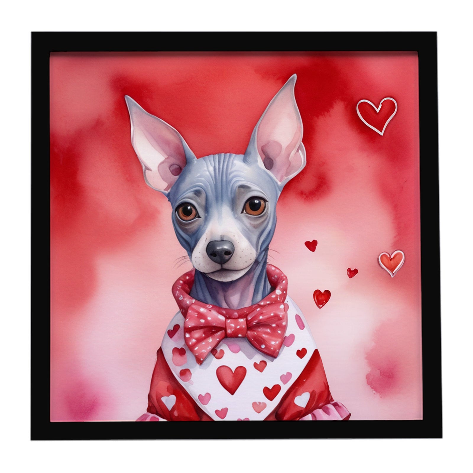 Caroline's Treasures American Hairless Terrier My Valentine Framed Metal Print