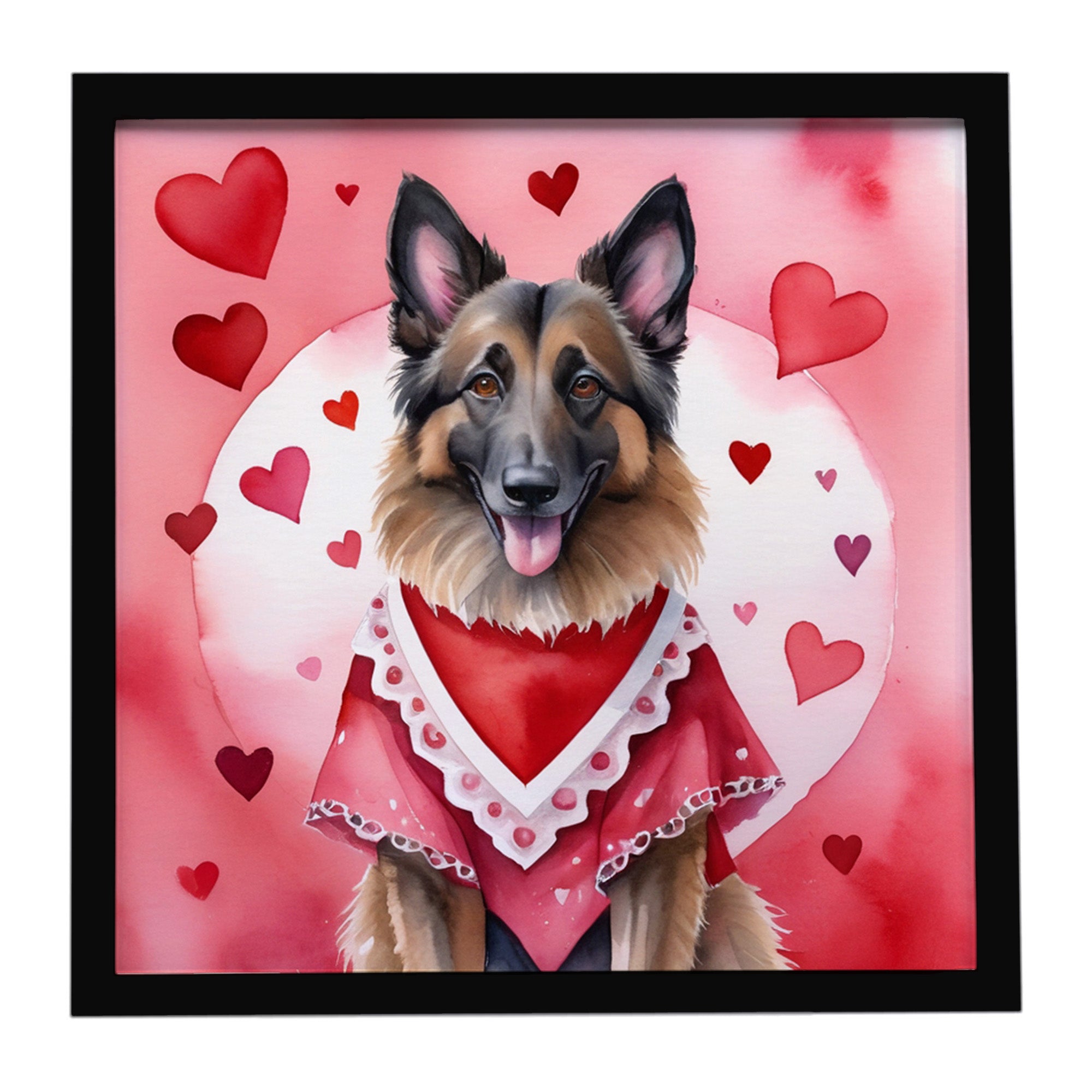 Caroline's Treasures Belgian Tervuren My Valentine Framed Metal Print