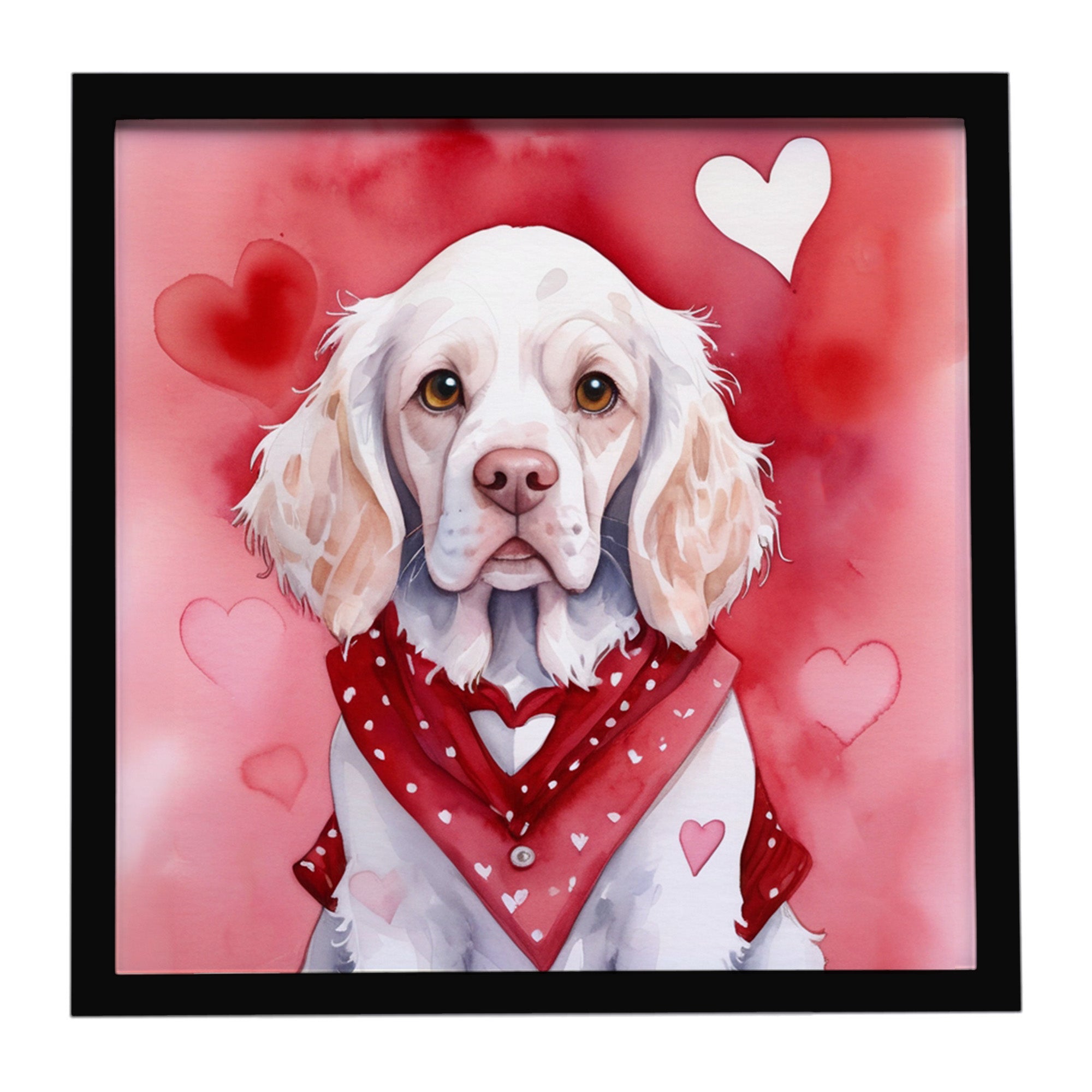 Caroline's Treasures Clumber Spaniel My Valentine Framed Metal Print