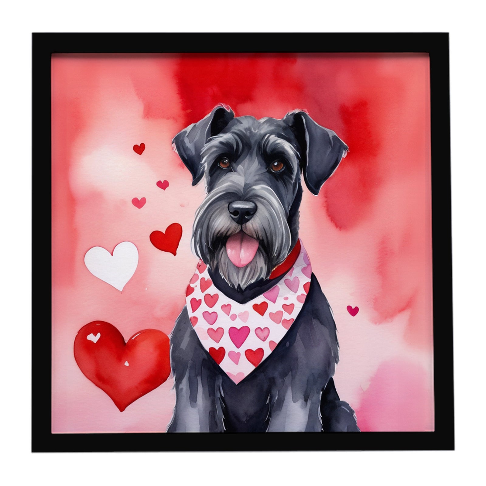 Caroline's Treasures Giant Schnauzer My Valentine Framed Metal Print