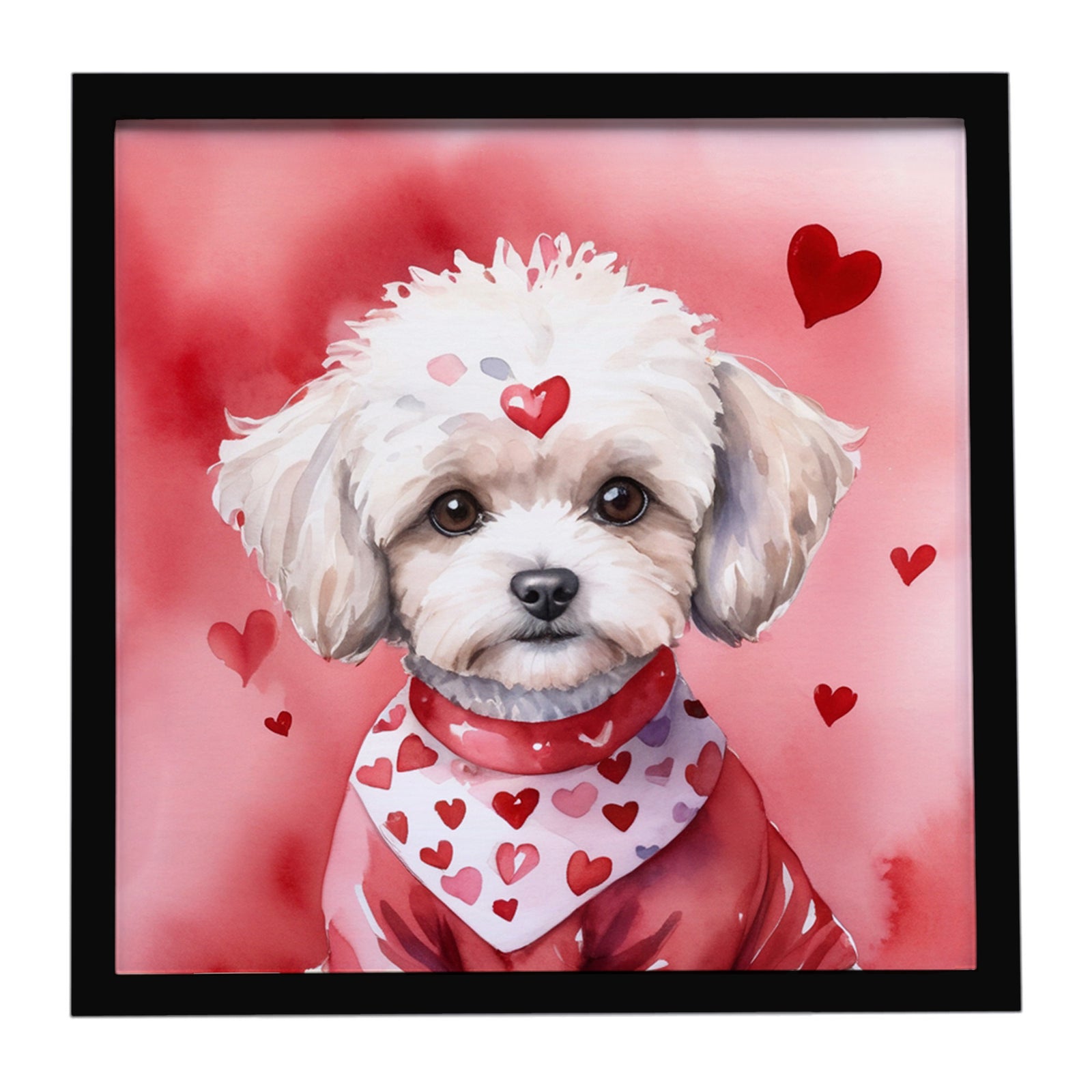 Caroline's Treasures Maltipoo My Valentine Framed Metal Print