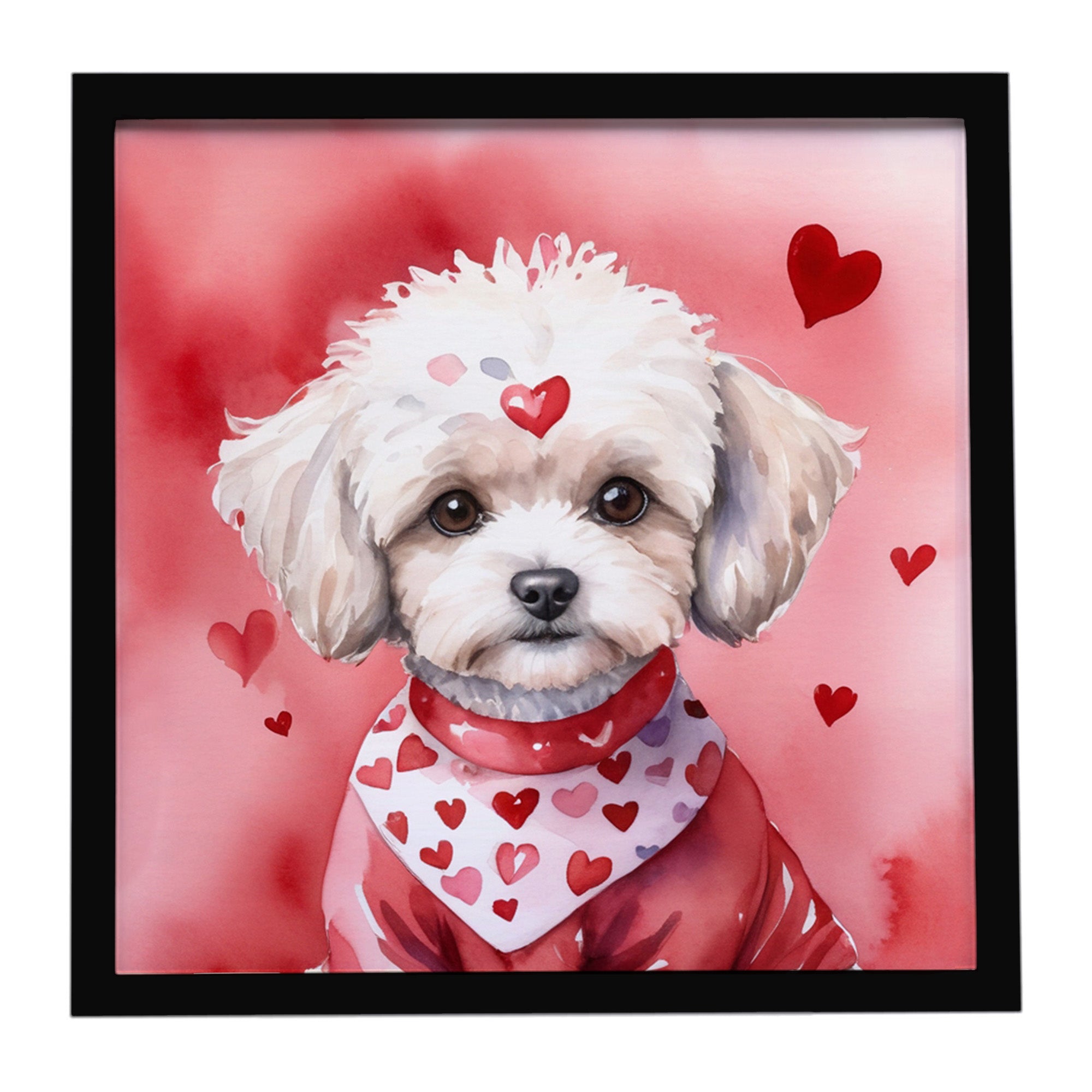 Caroline's Treasures Maltipoo My Valentine Framed Metal Print