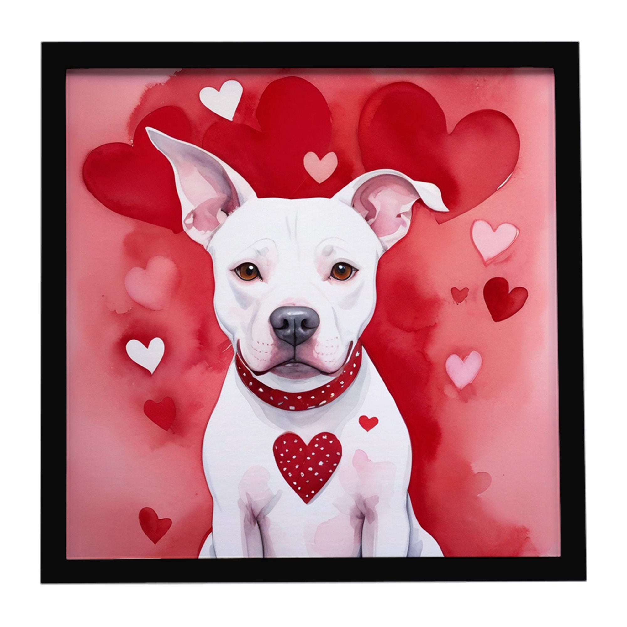 Caroline's Treasures Pit Bull Terrier My Valentine Framed Metal Print