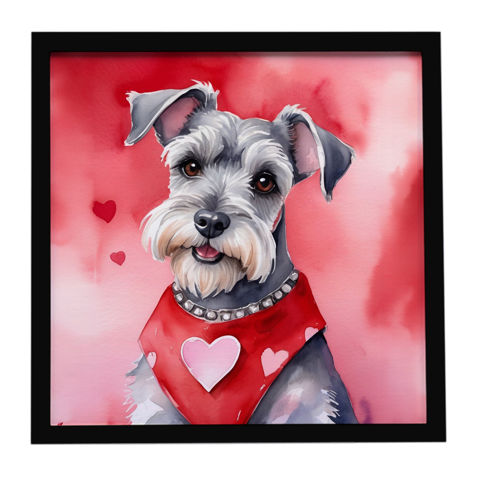Caroline's Treasures Schnauzer My Valentine Framed Metal Print