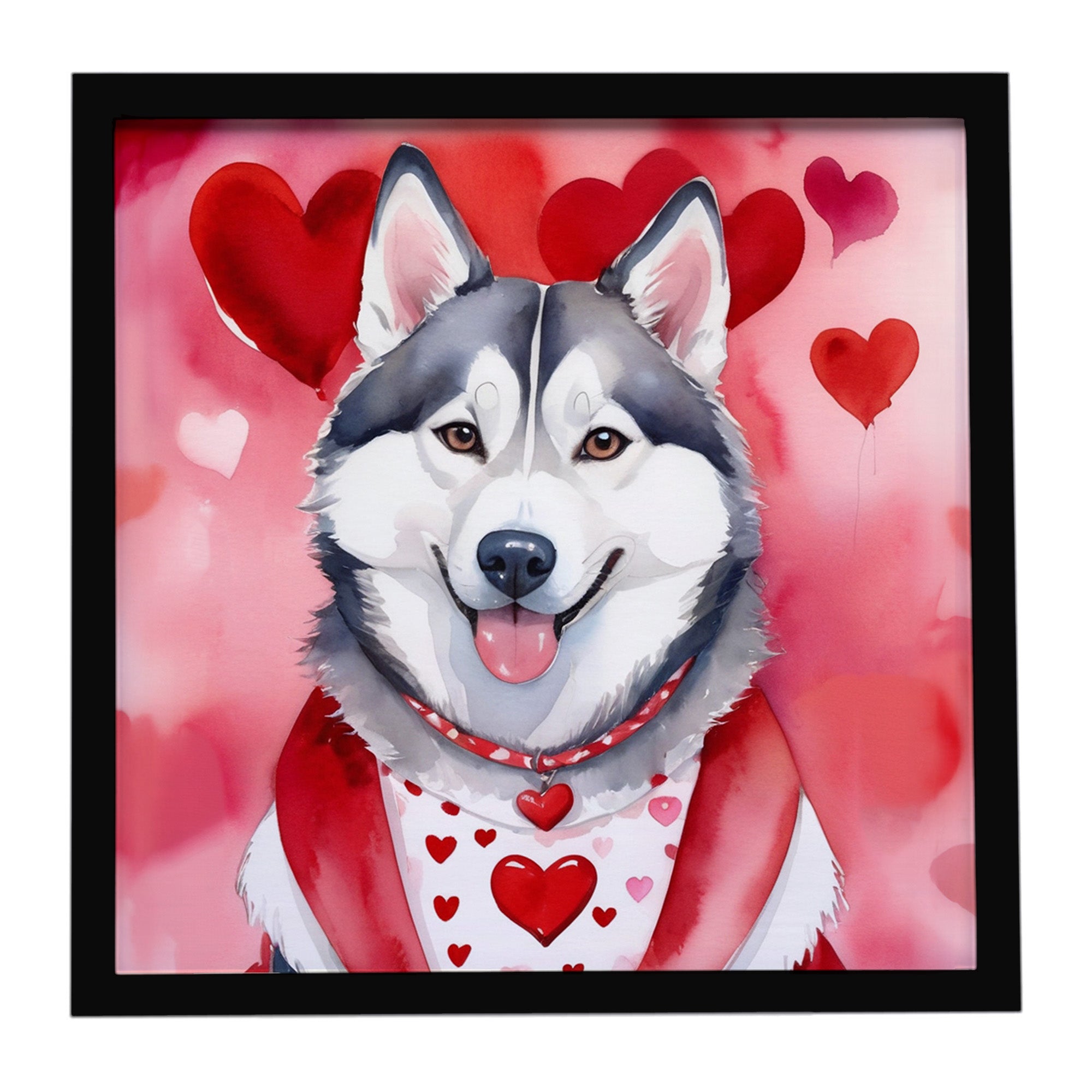 Caroline's Treasures Siberian Husky My Valentine Framed Metal Print