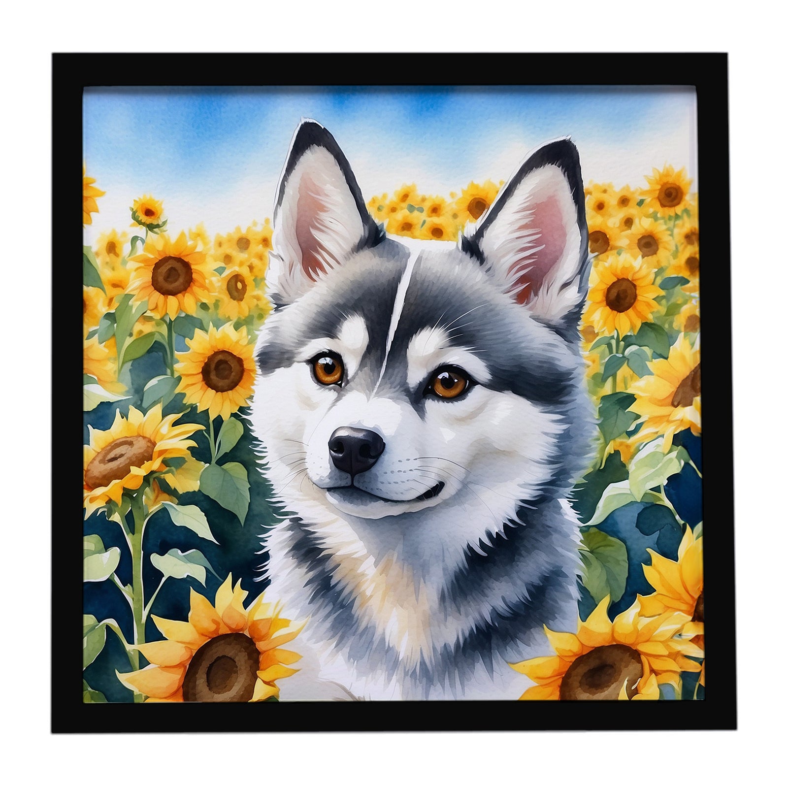 Caroline's Treasures Alaskan Klee Kai in Sunflowers Framed Metal Print