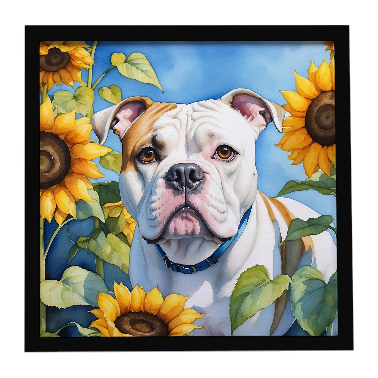 Caroline's Treasures American Bulldog in Sunflowers Framed Metal Print