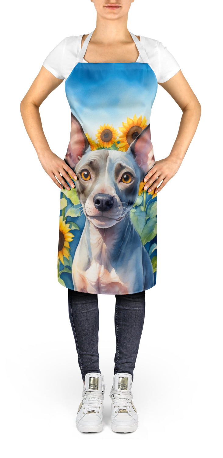 Buy this American Hairless Terrier in Sunflowers Apron