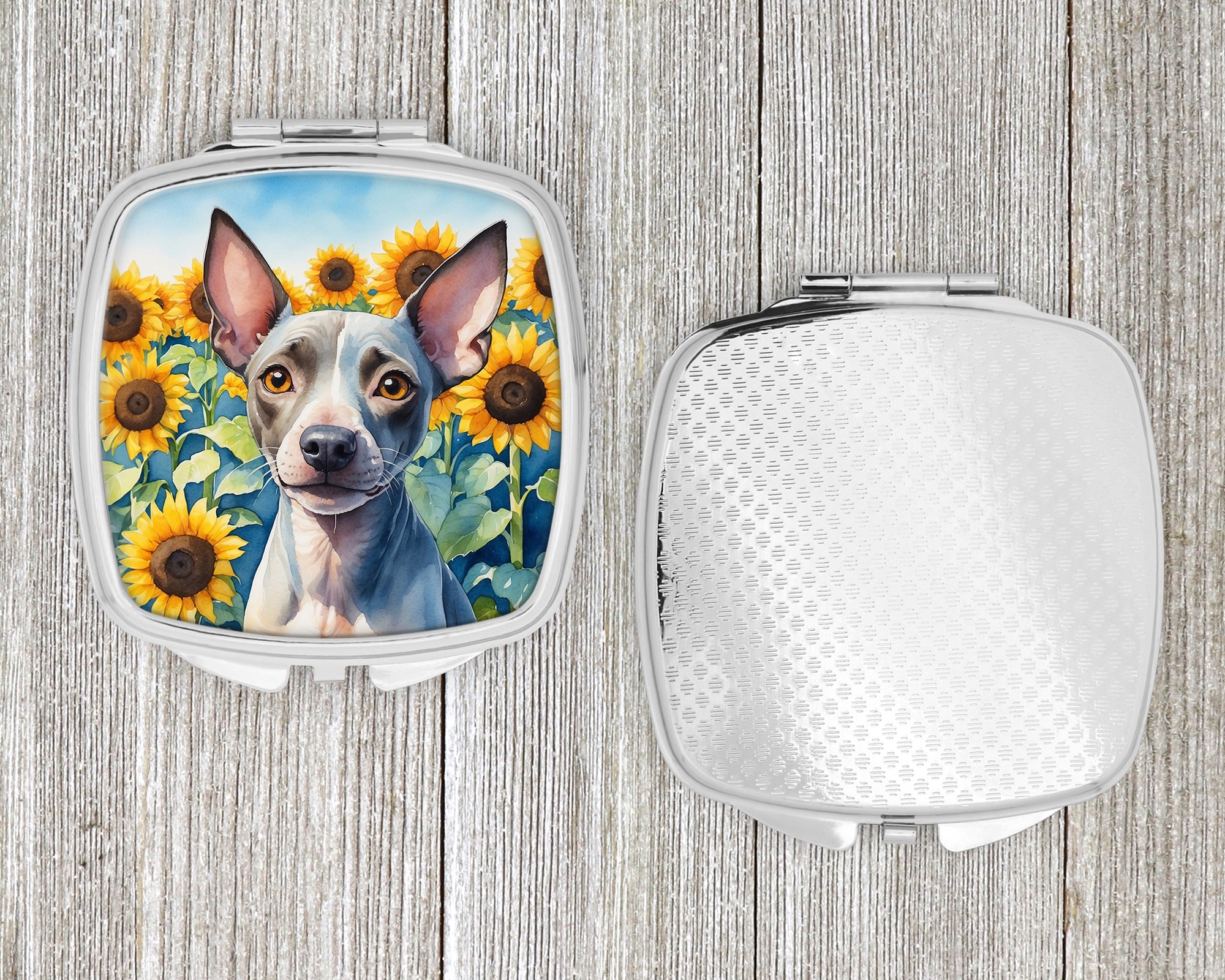 American Hairless Terrier in Sunflowers Compact Mirror