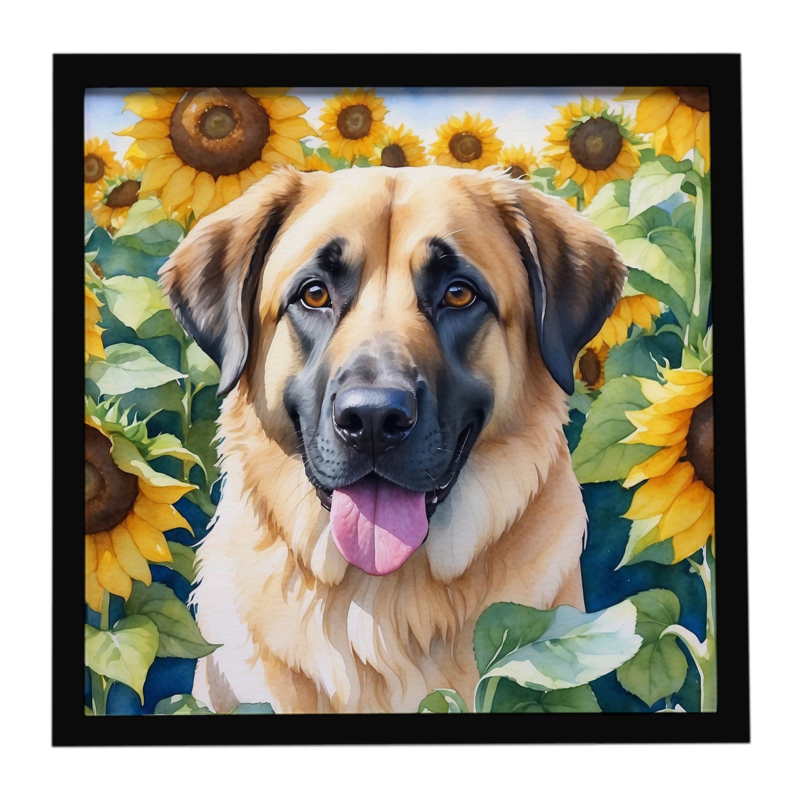 Caroline's Treasures Anatolian Shepherd in Sunflowers Framed Metal Print