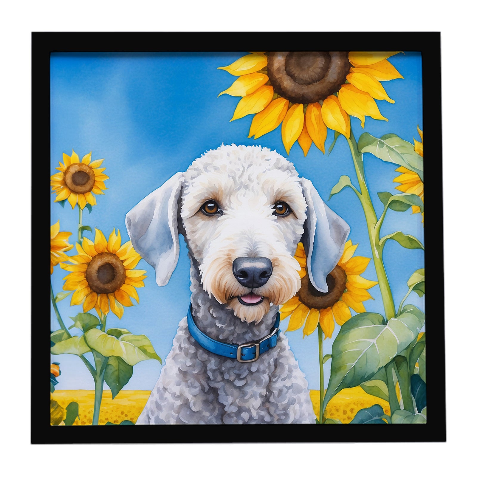 Caroline's Treasures Bedlington Terrier in Sunflowers Framed Metal Print