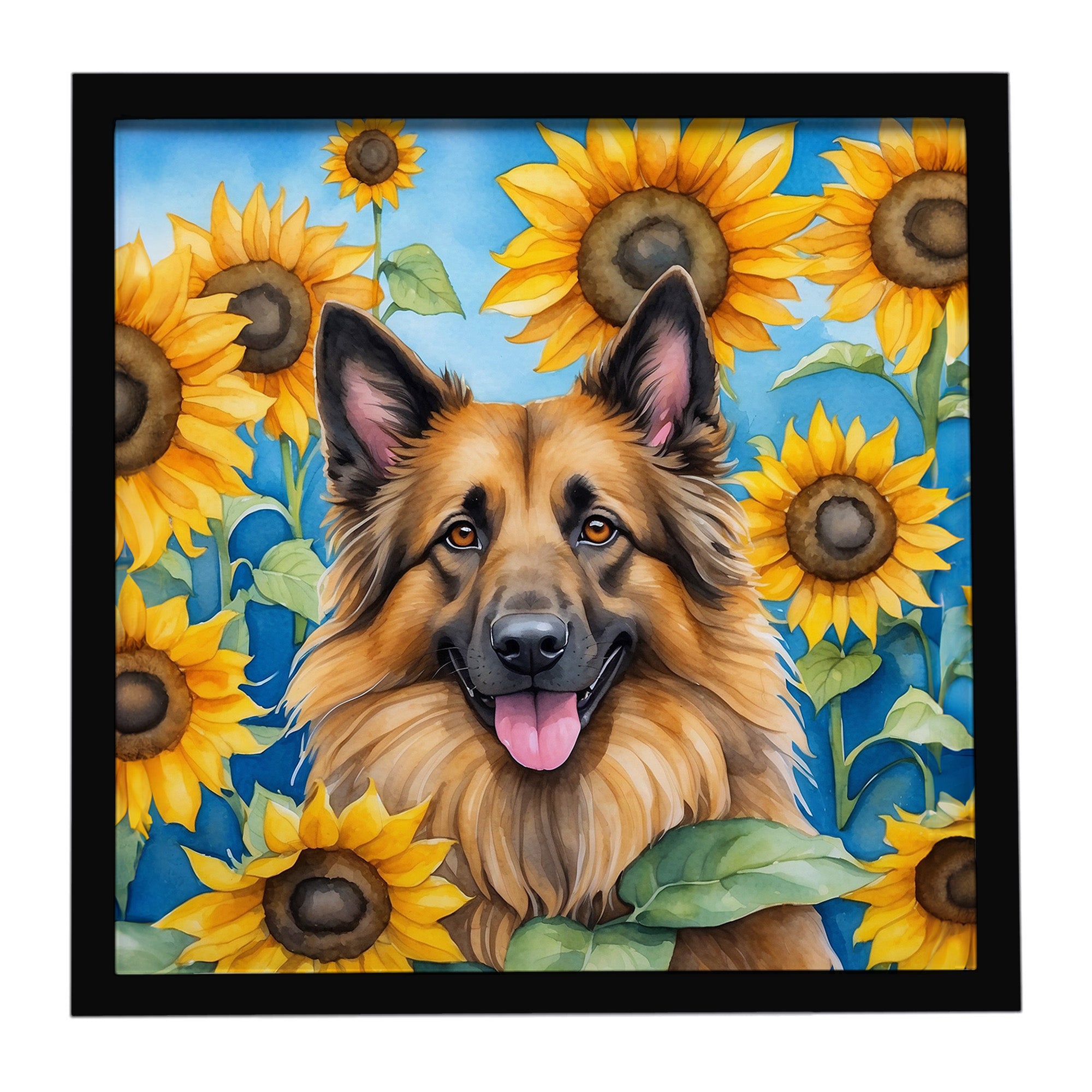 Caroline's Treasures Belgian Tervuren in Sunflowers Framed Metal Print