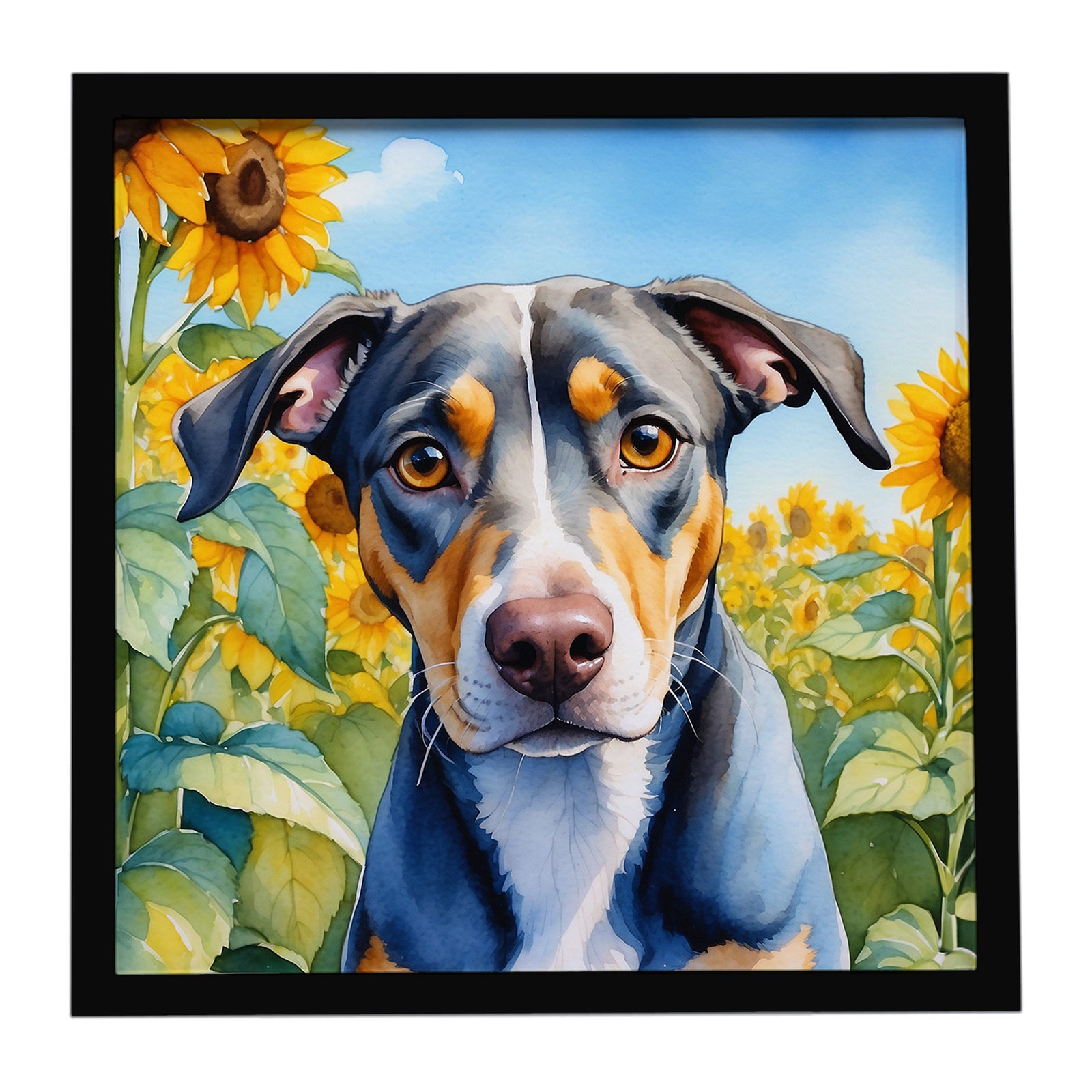 Caroline's Treasures Catahoula in Sunflowers Framed Metal Print