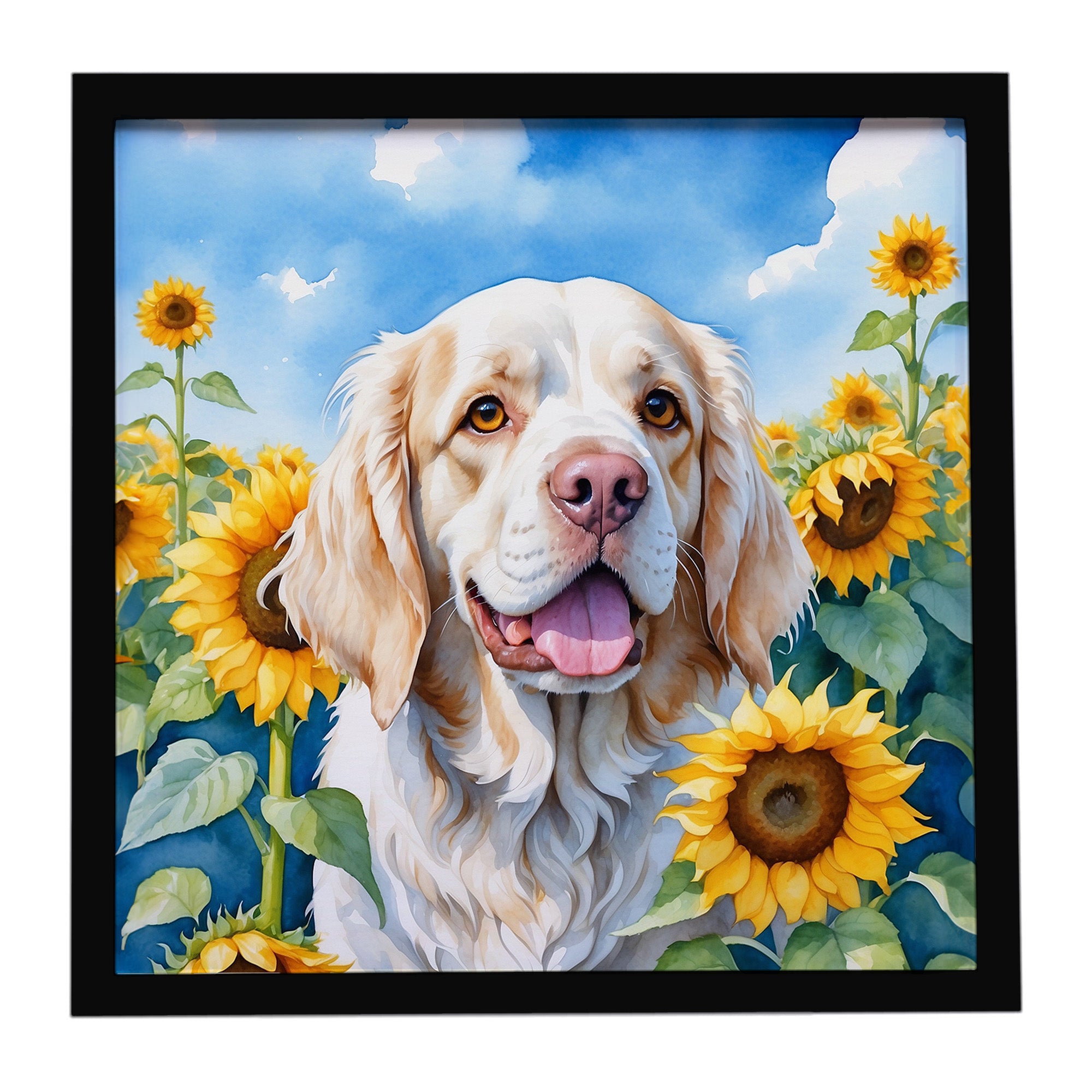 Caroline's Treasures Clumber Spaniel in Sunflowers Framed Metal Print