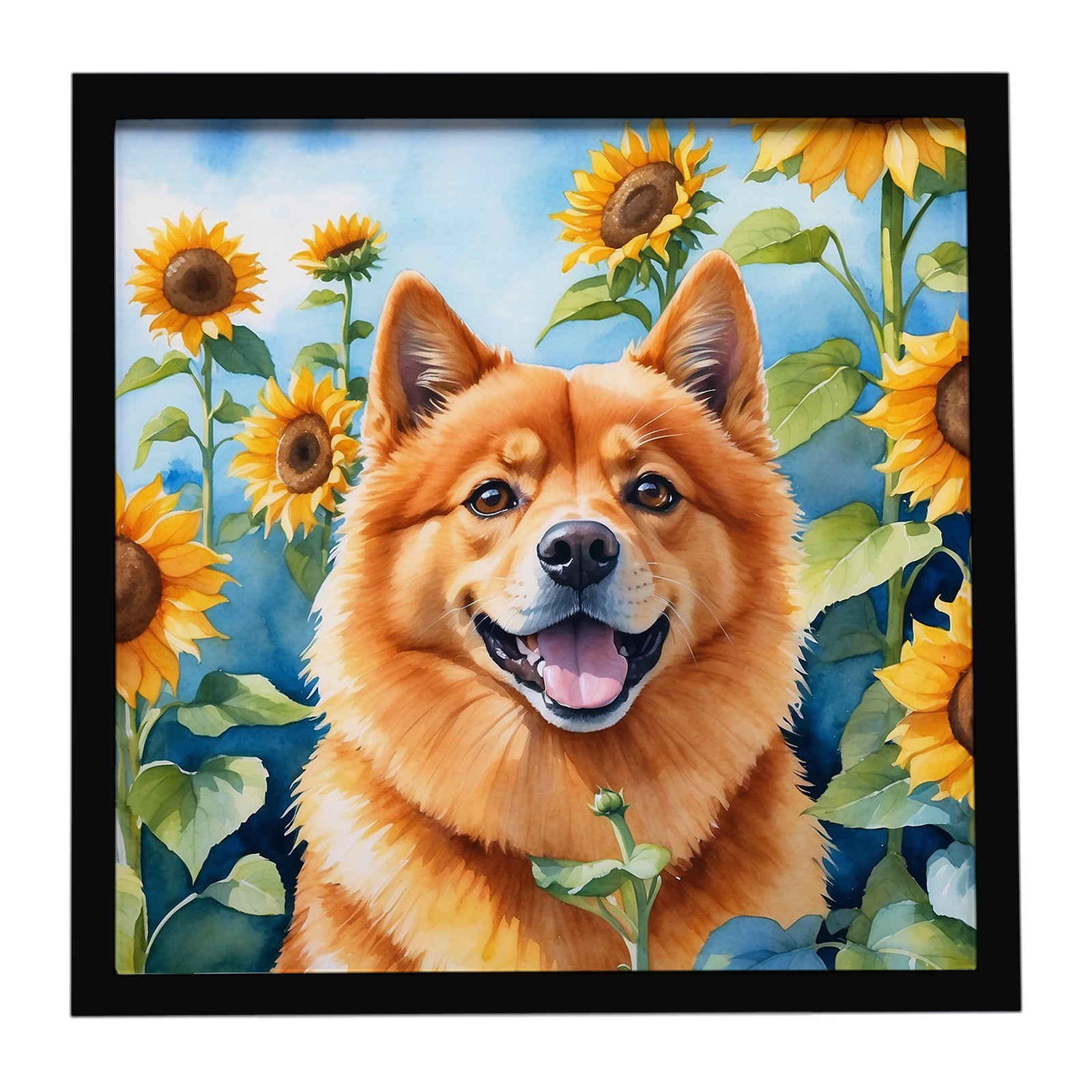 Caroline's Treasures Finnish Spitz in Sunflowers Framed Metal Print