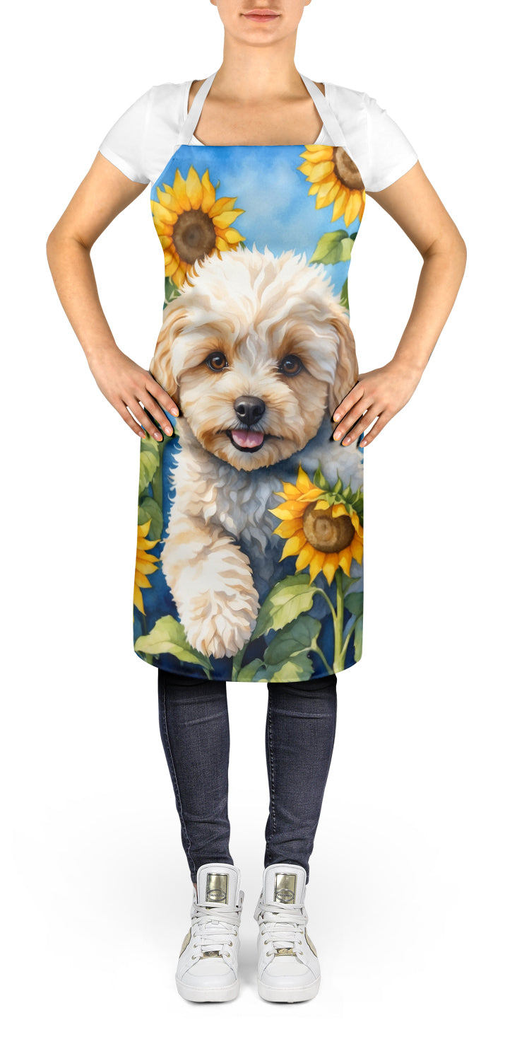 Buy this Maltipoo in Sunflowers Apron