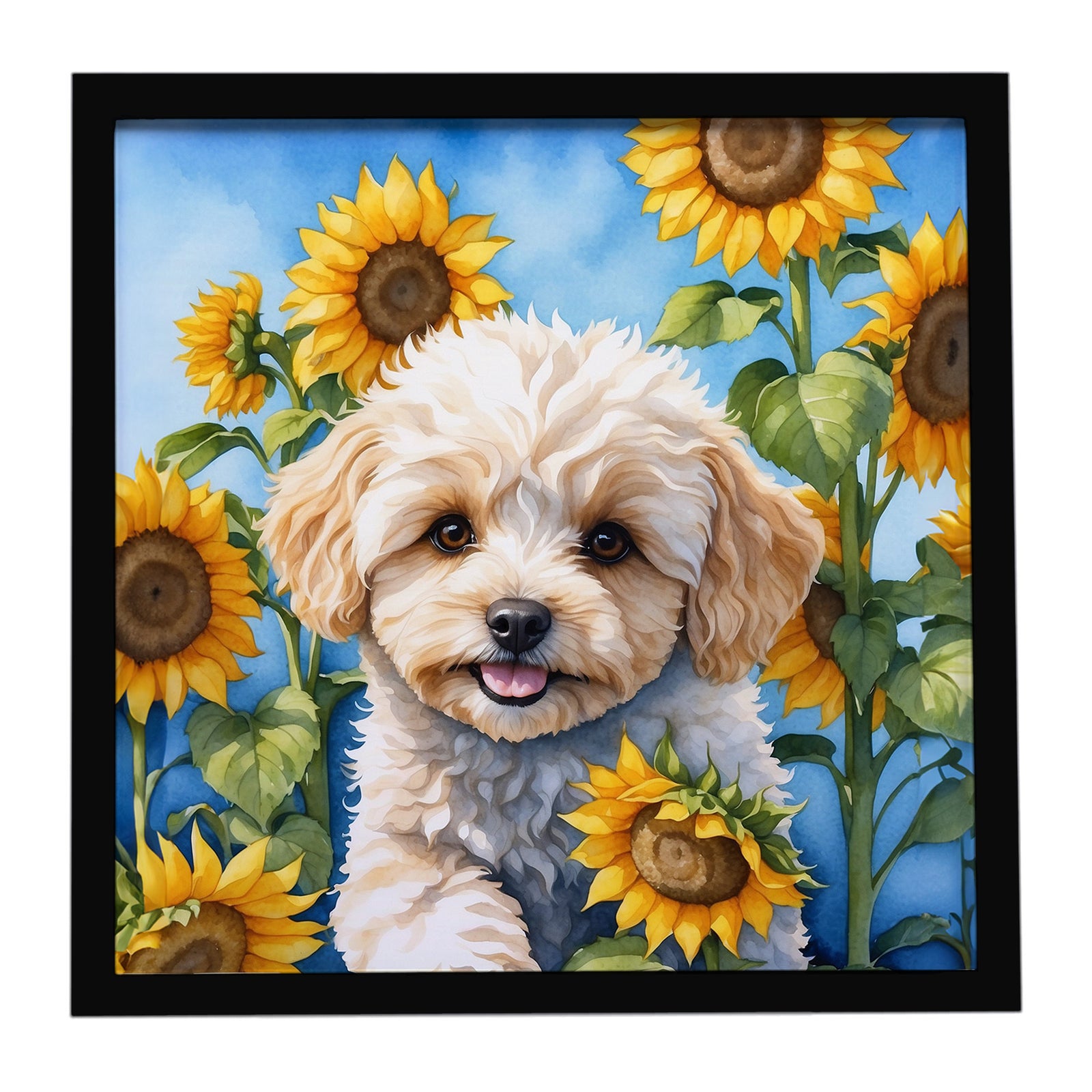 Caroline's Treasures Maltipoo in Sunflowers Framed Metal Print