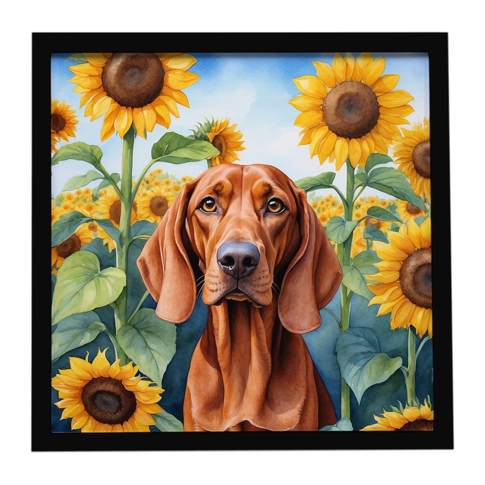 Caroline's Treasures Redbone Coonhound in Sunflowers Framed Metal Print