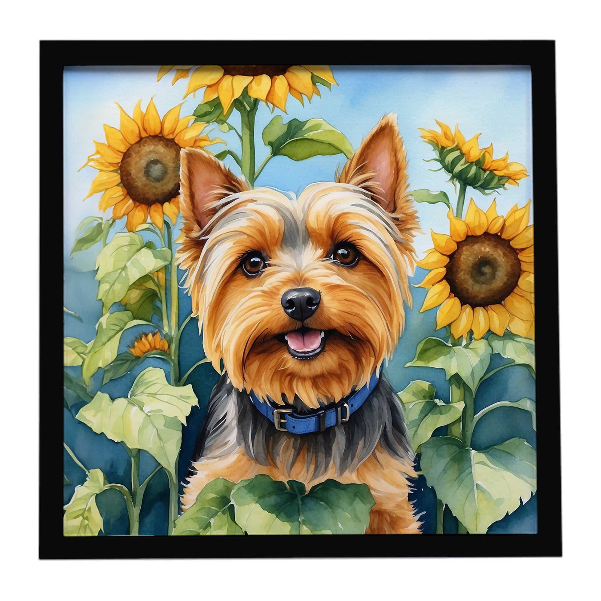 Caroline's Treasures Silky Terrier in Sunflowers Framed Metal Print