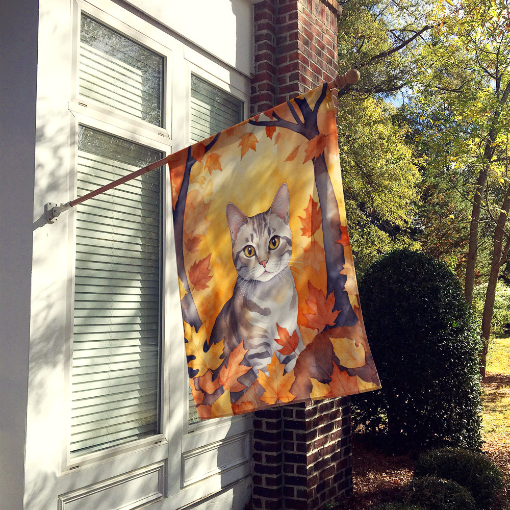 Caroline's Treasures European Shorthair Cat in Fall Leaves House Flag