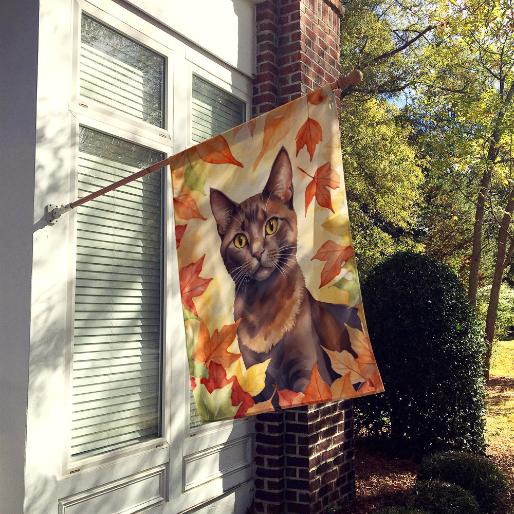 Caroline's Treasures Havana Brown Cat in Fall Leaves House Flag