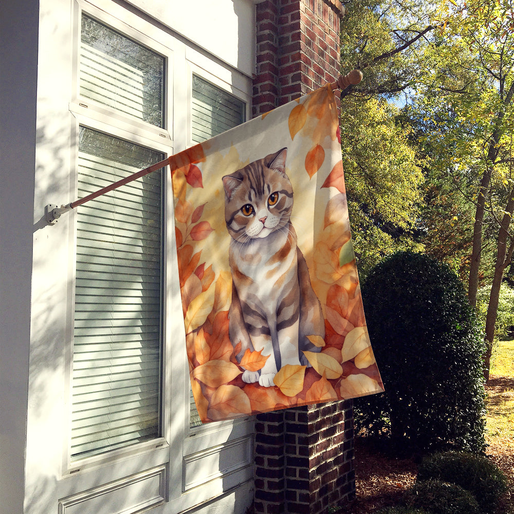 Caroline's Treasures Scottish Fold Cat in Fall Leaves House Flag