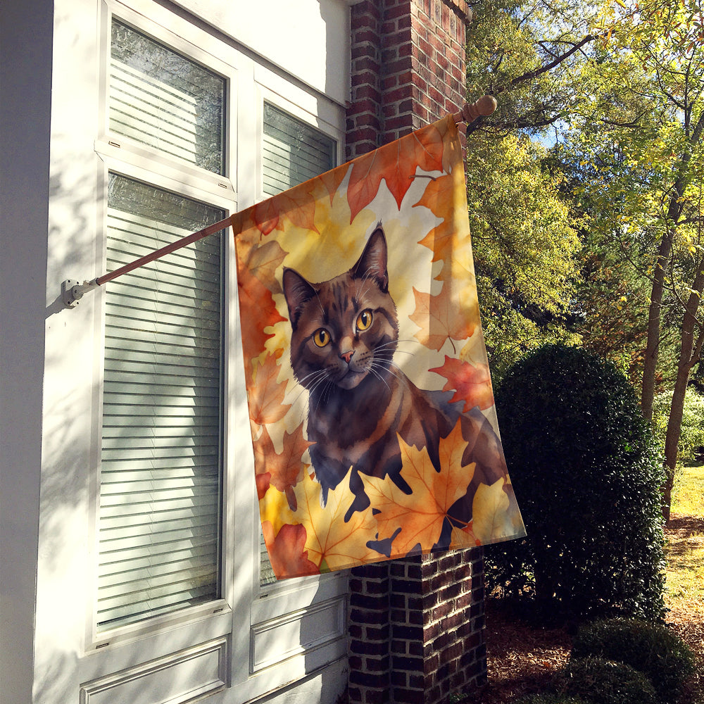 Caroline's Treasures York Chocolate Cat in Fall Leaves House Flag