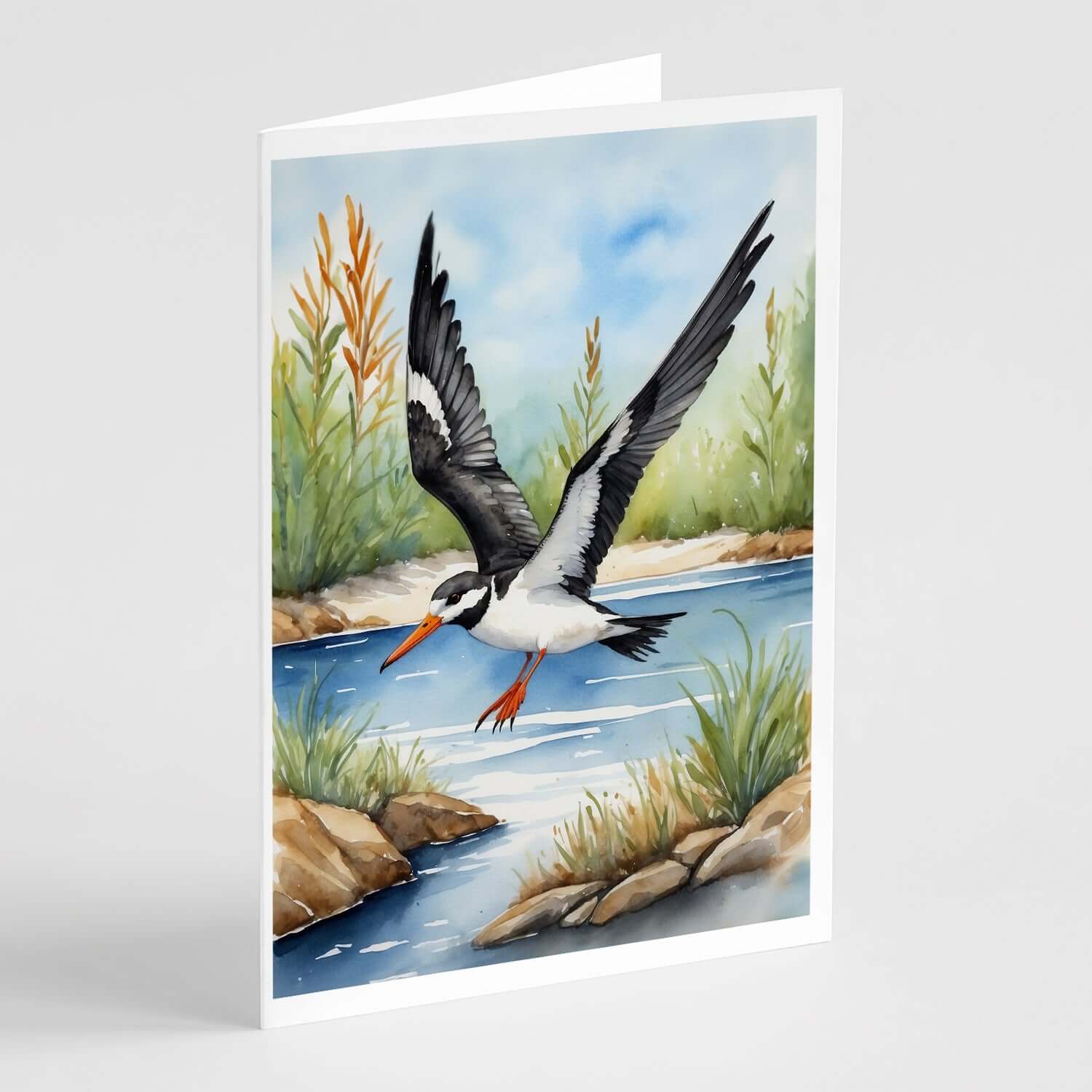 Caroline's Treasures Black Skimmer Bird Greeting Cards Pack of 8