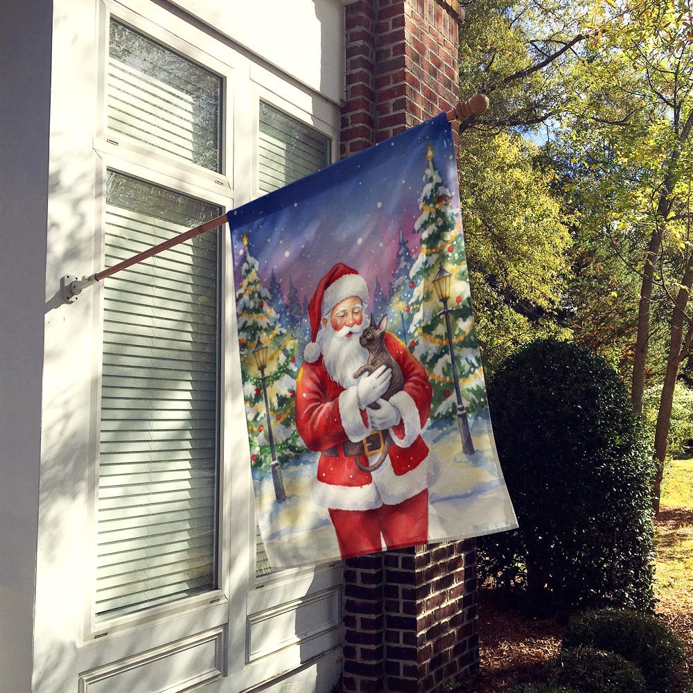 Caroline's Treasures Lykoi Cat with Santa Claus House Flag