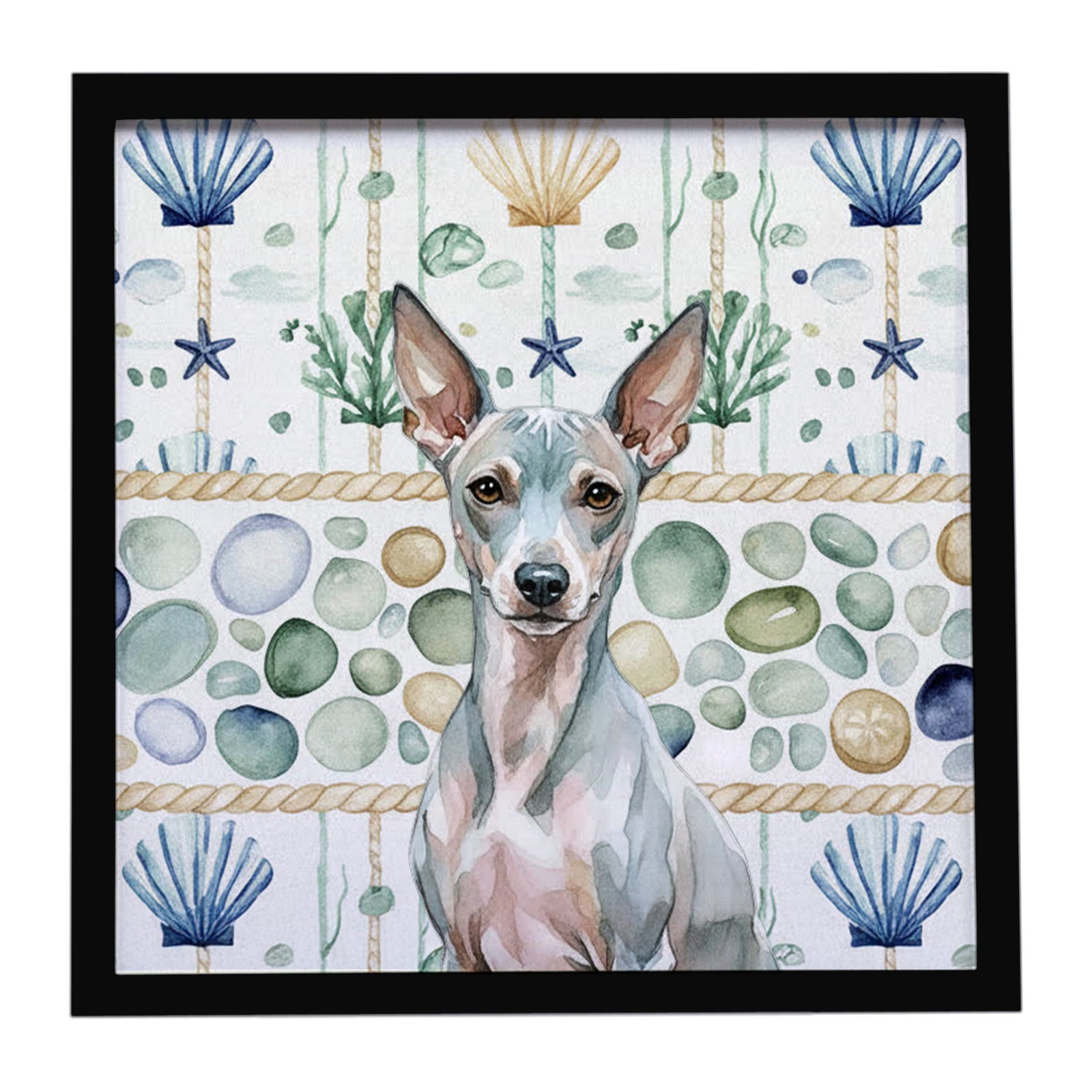Caroline's Treasures American Hairless Terrier Coastal Sea Glass Framed Metal Print